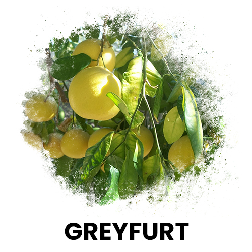 greyfurt