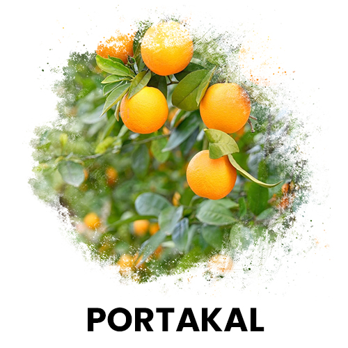 portakal