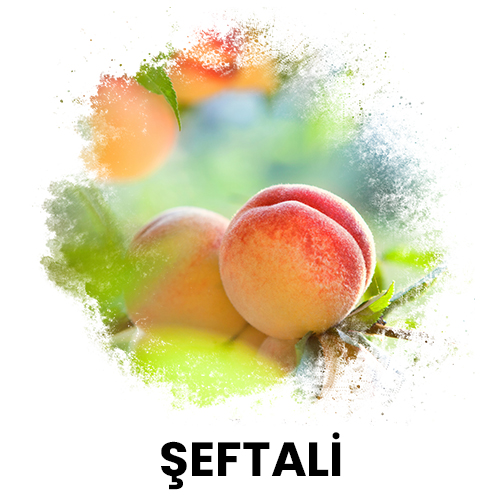 şeftali